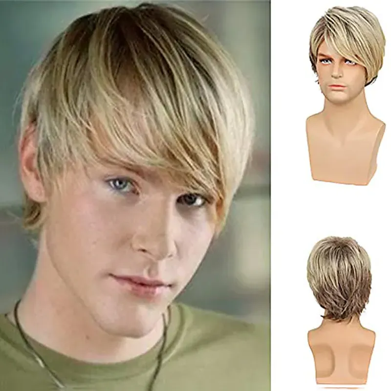 HAIRJOY Man Synthetic Hair  Brown Short Layered Wig  Male  Curly  Wigs