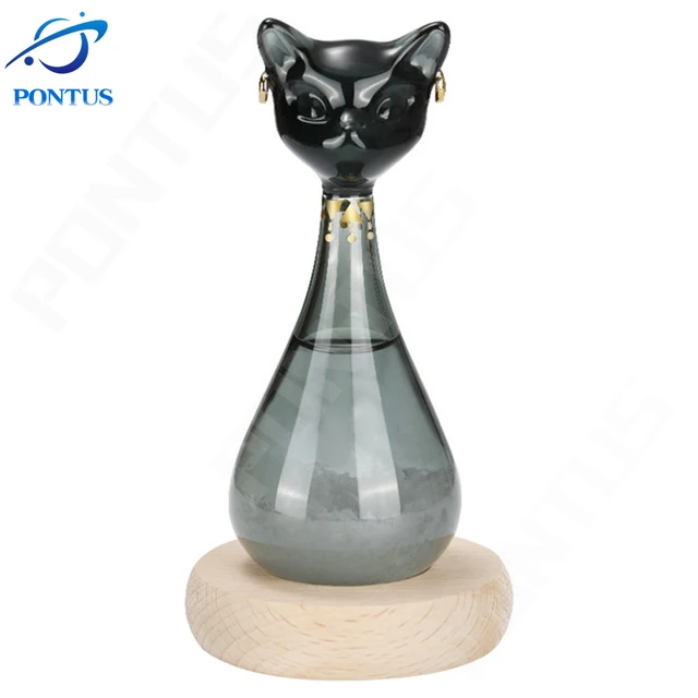 Iced out watch-Yika Jewelry