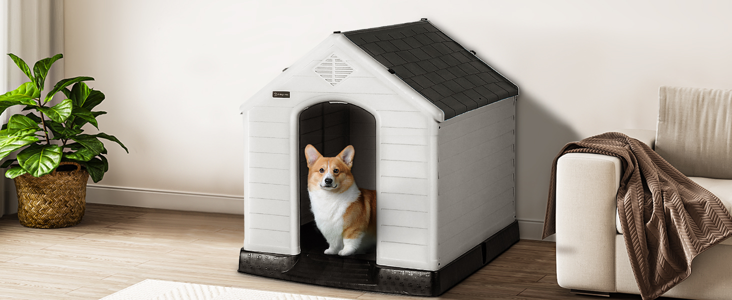 dog house