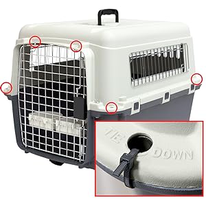 airline kennel