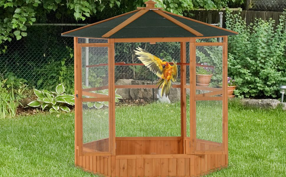 feeding platform feed door feeder flying inside outside birds parakeet conure cockatiel