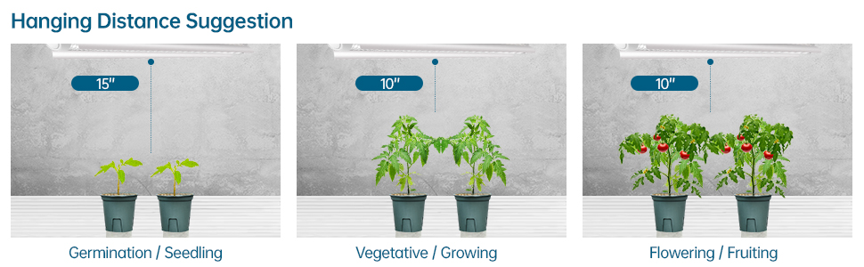 grow light for indoor plants