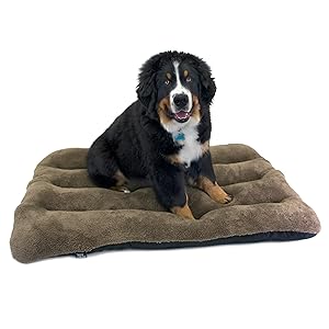 pet bed