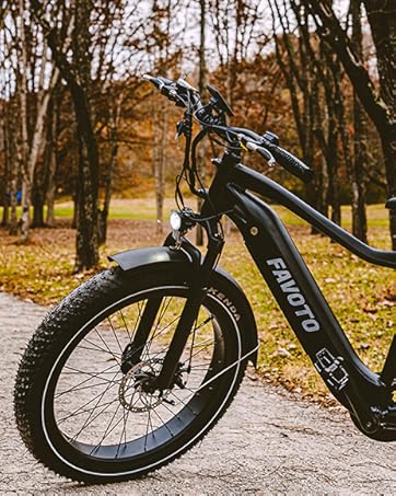 ebike