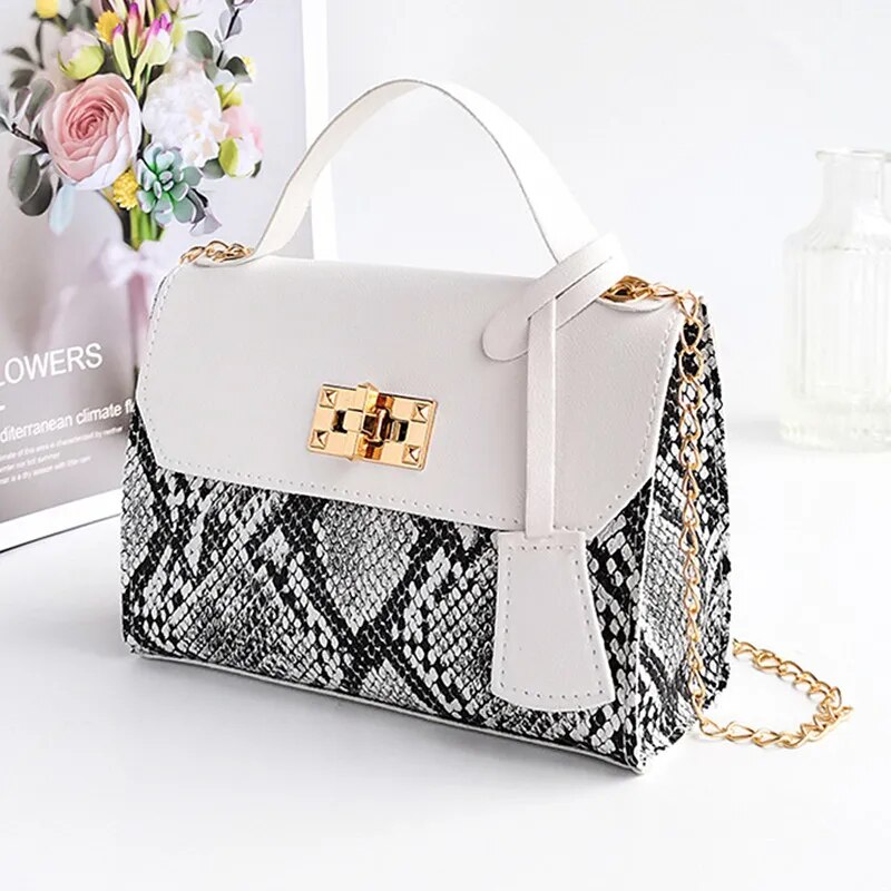 2022 New Crossbody Bags for Women Trend Luxury Handbags Female Cosmetic Bag Fashion Chain Ladies Shoulder Messenger Bags