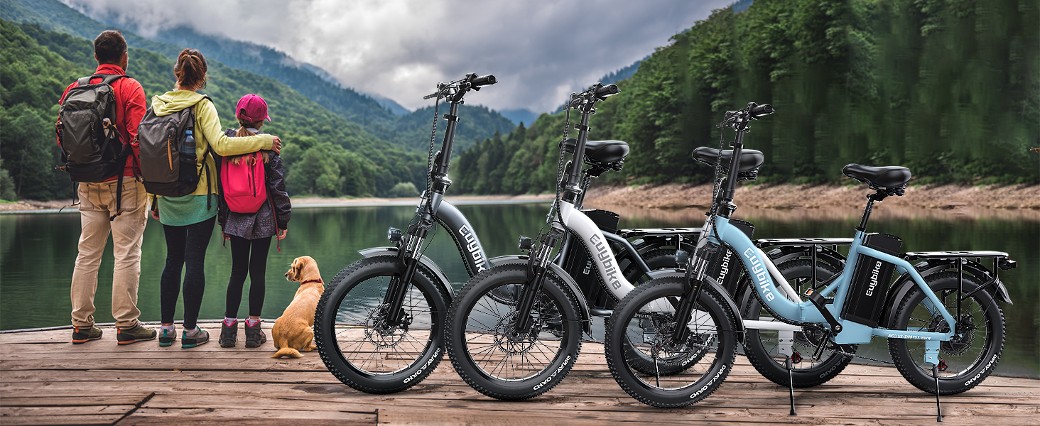 moped style electric bike