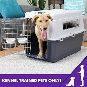 dog kennel