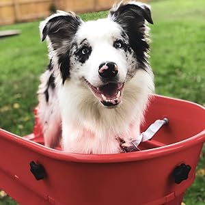 Booster Bath Large Red