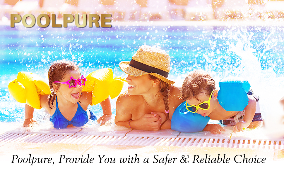 POOLPURE Pool & Spa Filter