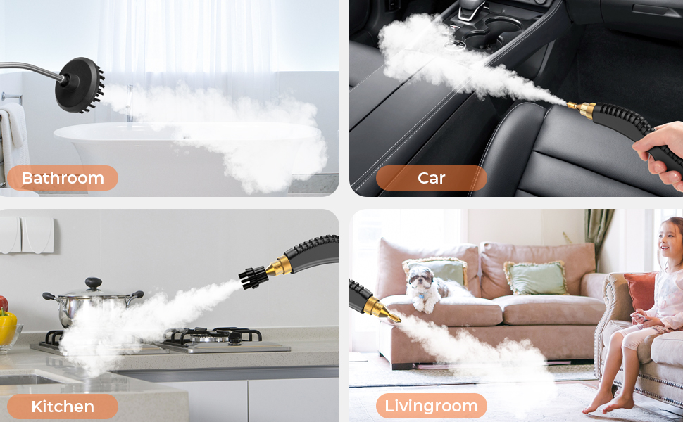 steam cleaner for car detailing