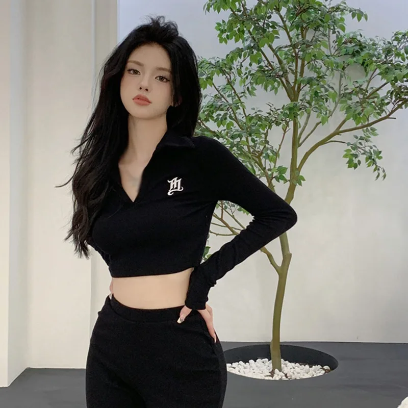 Top Spring Fashion Korean Style Slim All-Match Long-Sleeved V-Neck Spring Autumn Crop Tops