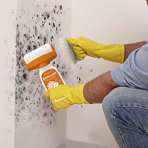 Wall Paint, Touch Up White Wall Paint, Small Roller Wall Paint