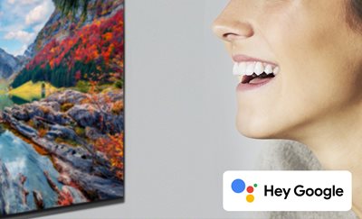 Premium Smart TV