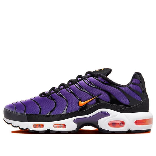 Nike Air Max Plus OG 'Voltage Purple' 2024 DX0755-500