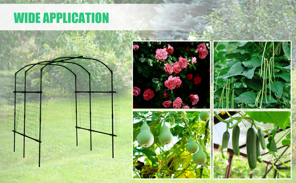 Garden Arch Trellis