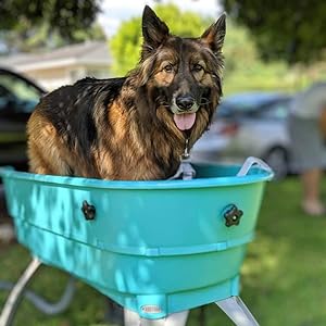 Booster Bath Large Teal