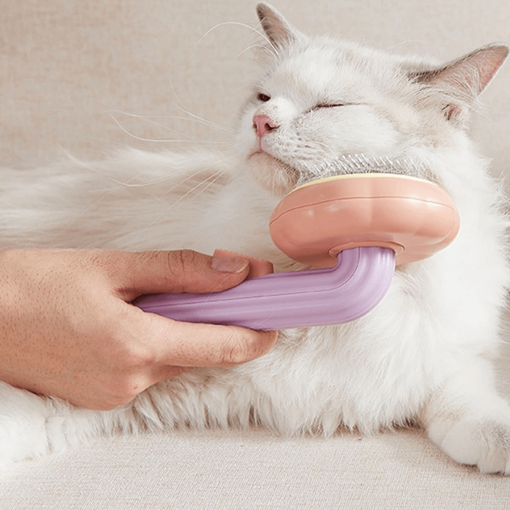 Pop Brush For Pet Hair De Shredding - Inspire Uplift