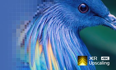 Bring back lost texture and detail, the intelligent way