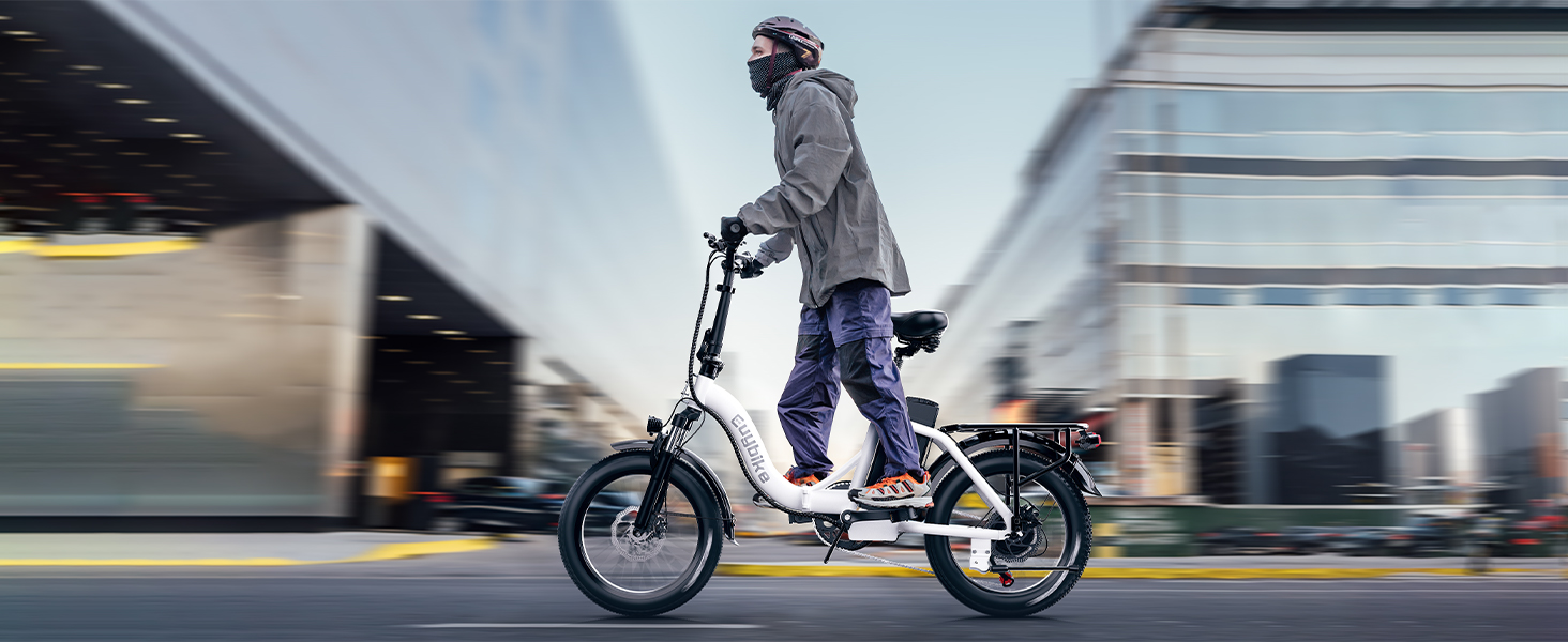 euy electric bike