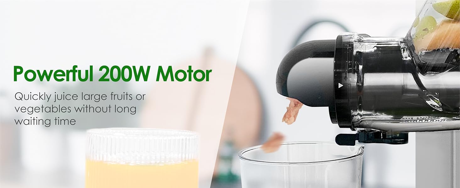 slow juicer reverse function quiet motor juicer machine vegetable fruit