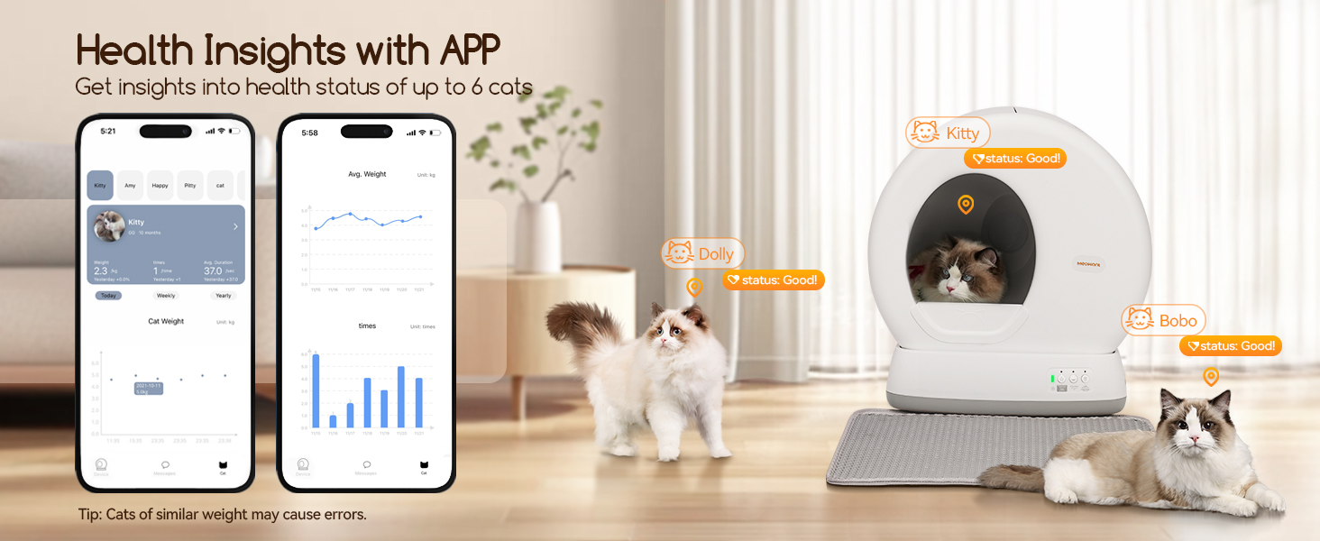 cat litter box