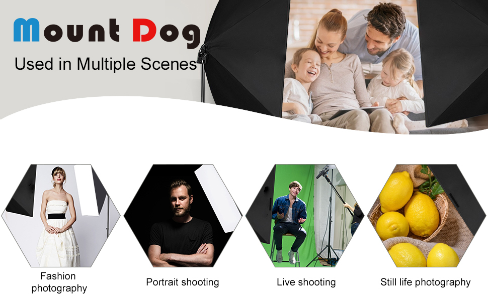 MOUNTDOG Softbox Lighting Kit