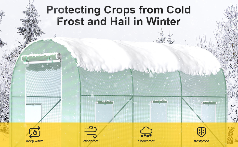 Greenhouse for Outside Heavy Duty