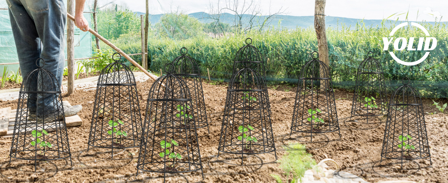 Chicken Wire Cloche