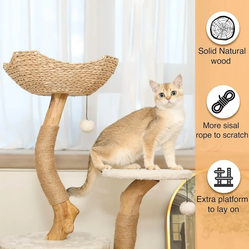 Modern Cat Tree for Indoor Small Cats - Real Wood Cat Tower With Scratch Post Hiding Enclosure -  Pet Products