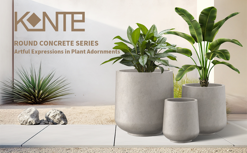 planters for indoor plants