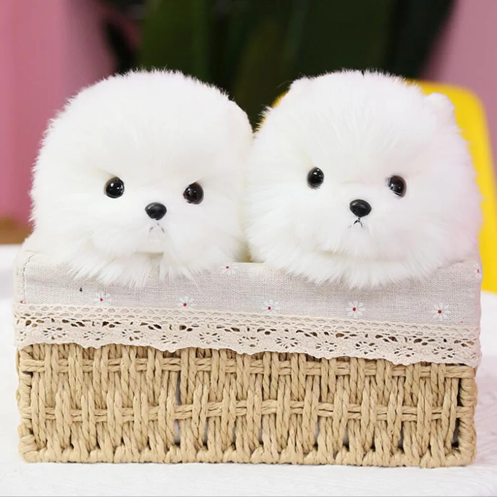 Cartoon Cute White Pomeranian Dog Stuffed Children Plush Toy