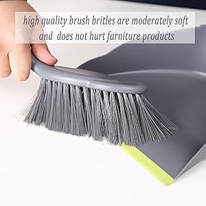 Dustpan and Brush Set