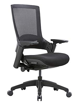 CLATINA High Back Ergonomic Office Desk Chairs