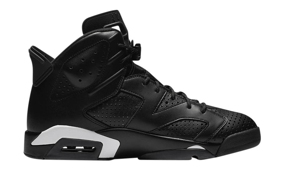 Air Jordan 6 Black Cat 384664-020