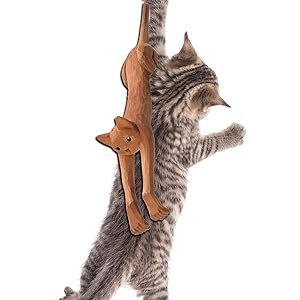 cat with back scratcher