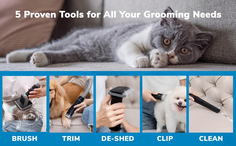 5 Proven Tools for all your grooming needs