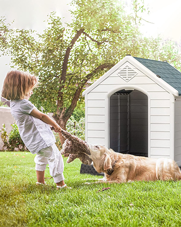 Plastic Dog House 