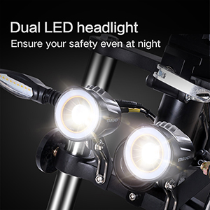 Dual LED headlight