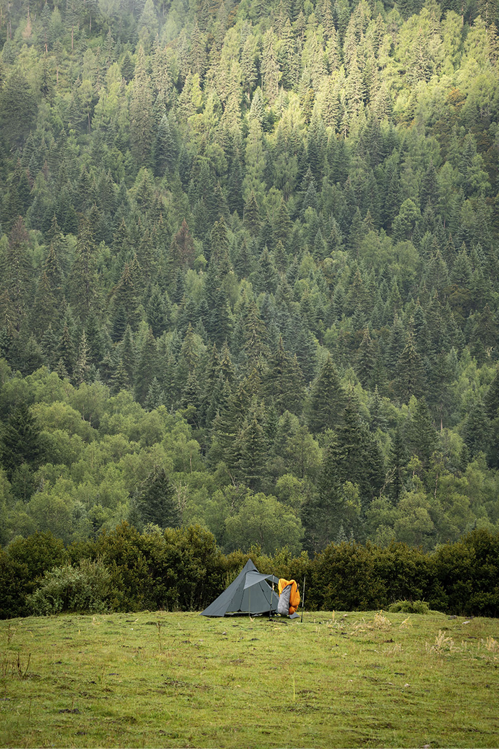 Hussar teepee tent in the forest