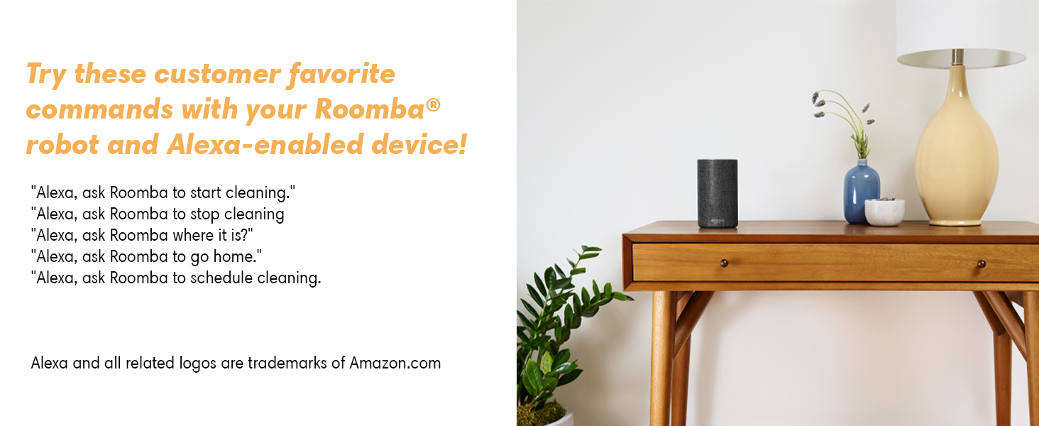 Alexa Devices