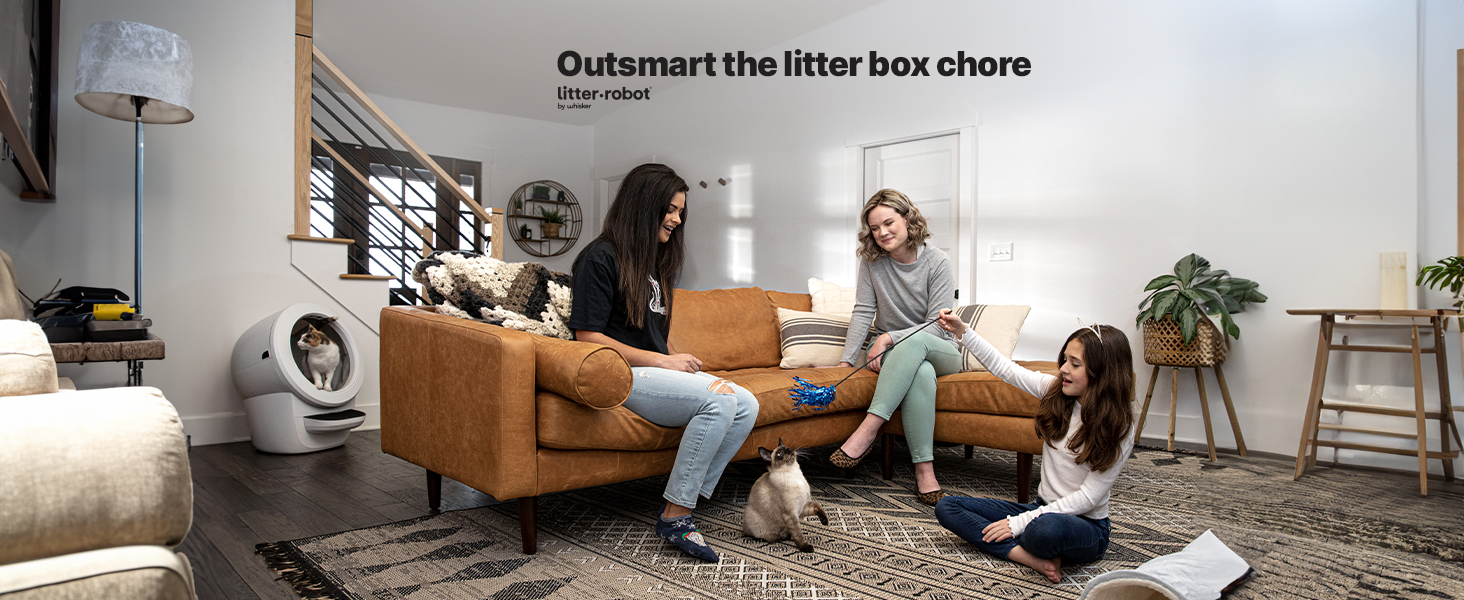 Outsmart the litter box chore lr4