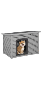 dog house