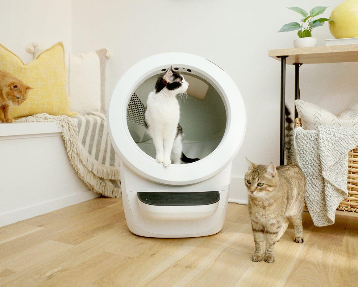 Two cats with Litter-Robot 4