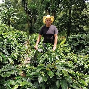 Pedro Fiallos, Honduras, coffee farmers, growing coffee, whole bean coffee, san francisco bay coffee