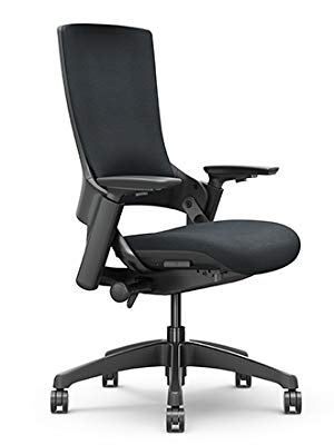 CLATINA High Back Ergonomic Office Desk Chairs