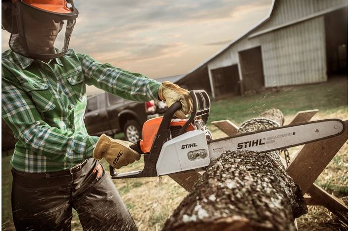 STIHL MS 170 | Carl's Mower & Saw