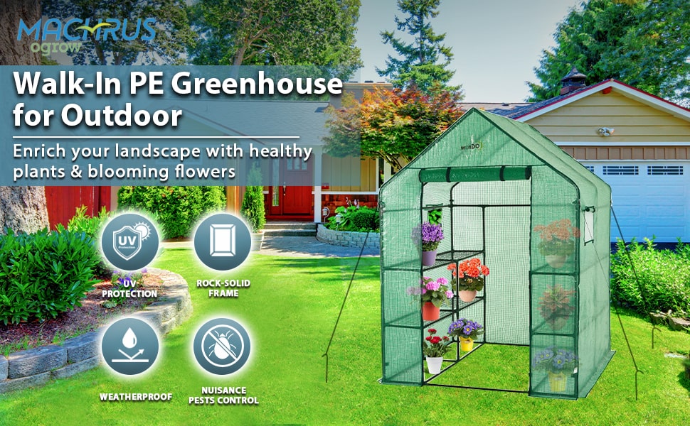 Walk-In Greenhouse for Outdoor