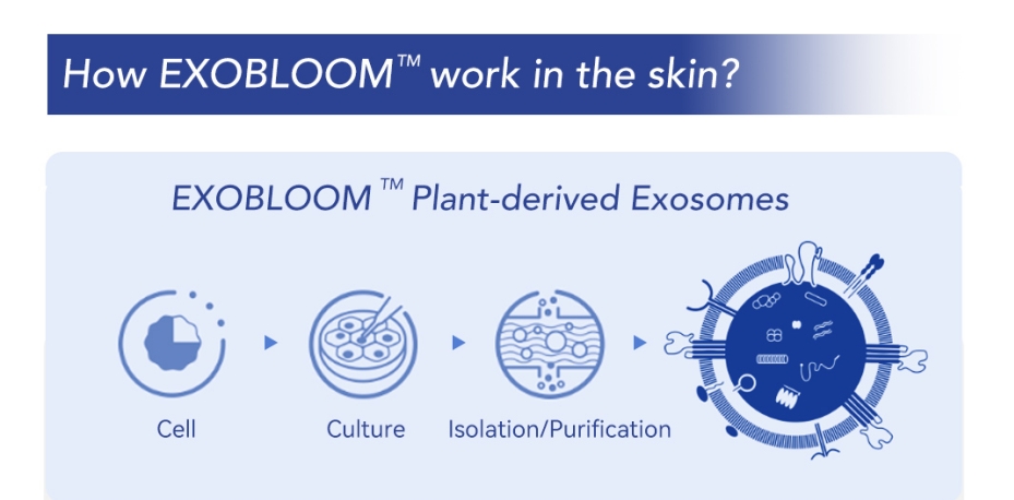 how EXOBLOOM Exosome does work