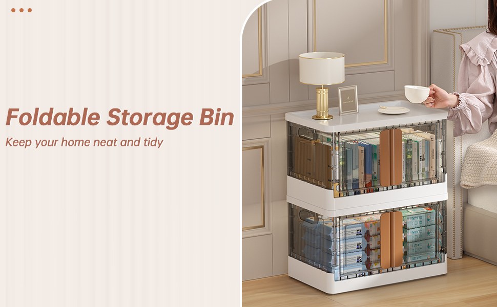 Storage bins with lid