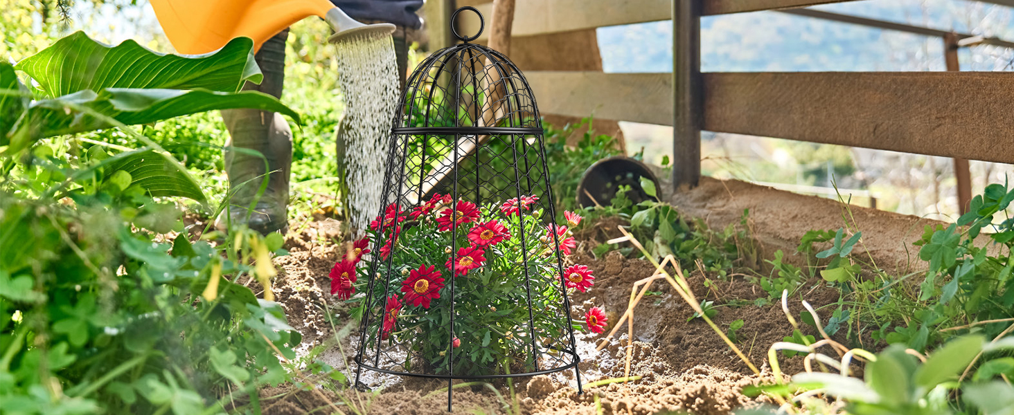 Chicken Wire Cloche